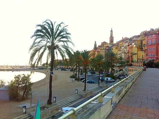 L'hippocampe * Menton